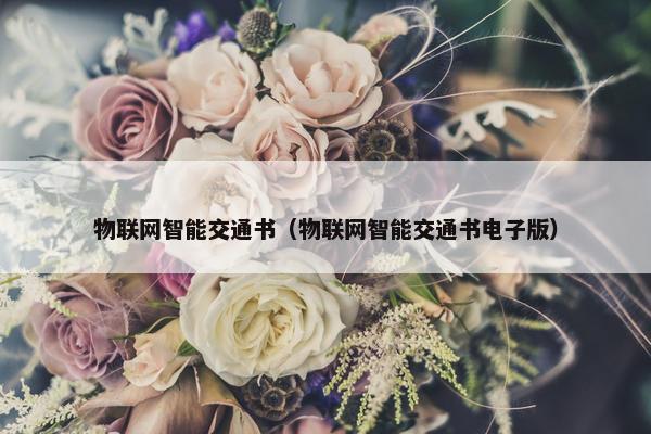 物联网智能交通书（物联网智能交通书电子版）