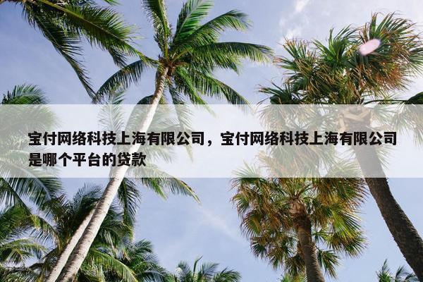 宝付网络科技上海有限公司，宝付网络科技上海有限公司是哪个平台的贷款