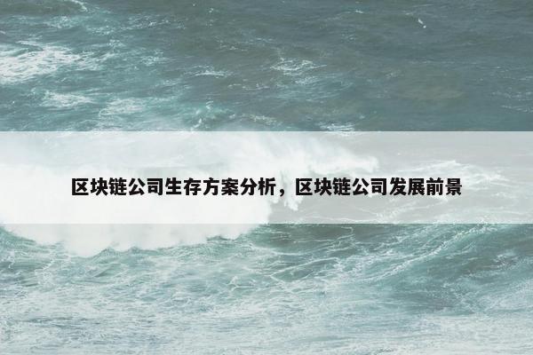 区块链公司生存方案分析，区块链公司发展前景
