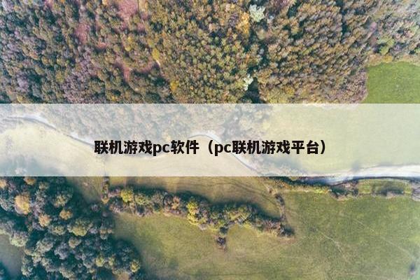 联机游戏pc软件（pc联机游戏平台）