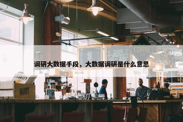调研大数据手段，大数据调研是什么意思