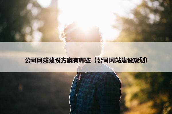 公司网站建设方案有哪些（公司网站建设规划）