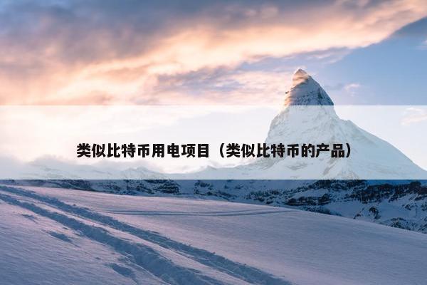 类似比特币用电项目（类似比特币的产品）