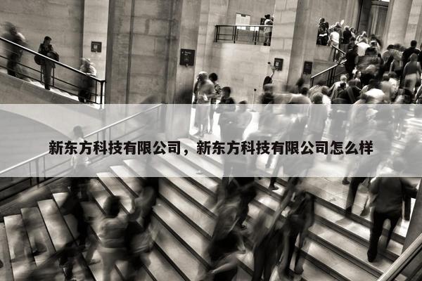新东方科技有限公司，新东方科技有限公司怎么样