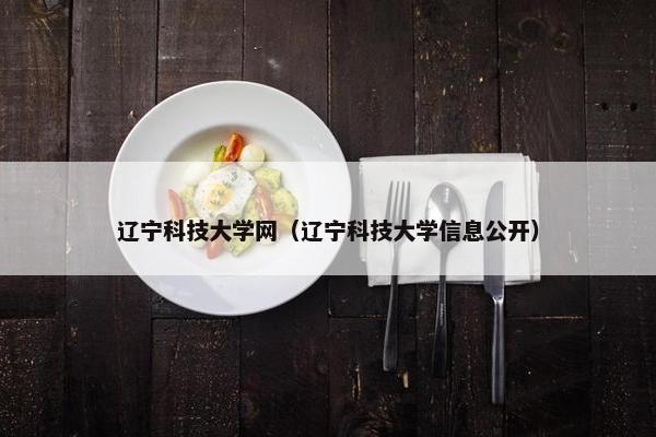 辽宁科技大学网（辽宁科技大学信息公开）