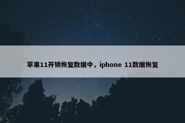 苹果11开锁恢复数据中，iphone 11数据恢复