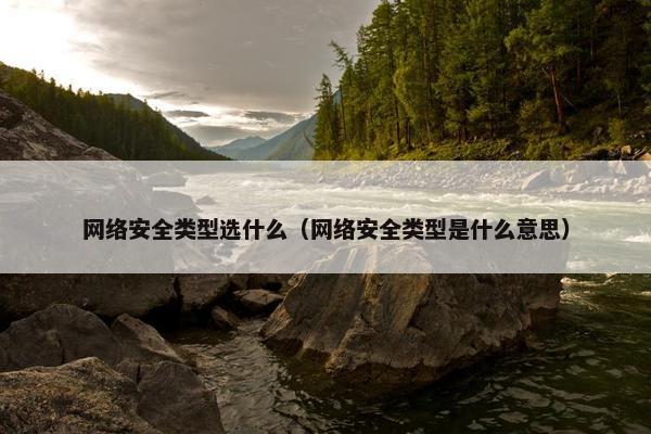 网络安全类型选什么（网络安全类型是什么意思）