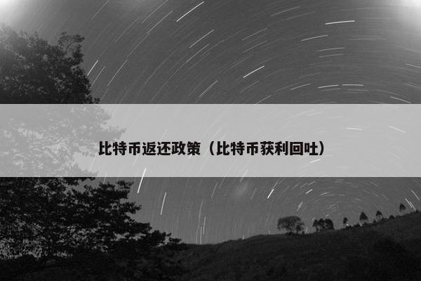 比特币返还政策（比特币获利回吐）