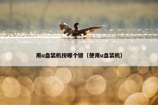 用u盘装机按哪个键（使用u盘装机）