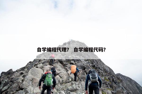 自学编程代理？ 自学编程代码？