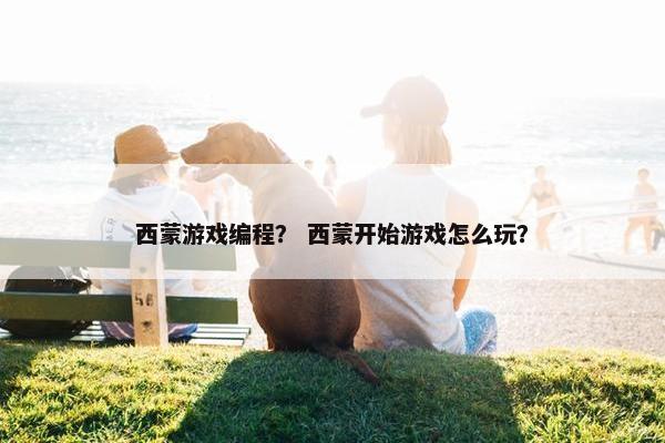 西蒙游戏编程？ 西蒙开始游戏怎么玩？