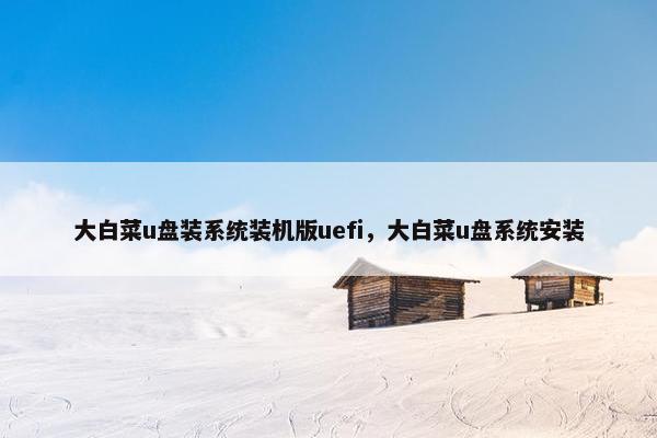 大白菜u盘装系统装机版uefi，大白菜u盘系统安装