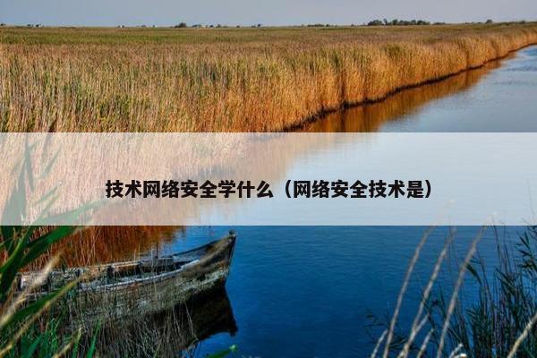 技术网络安全学什么（网络安全技术是）