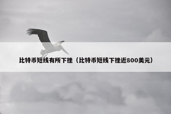比特币短线有所下挫（比特币短线下挫近800美元）