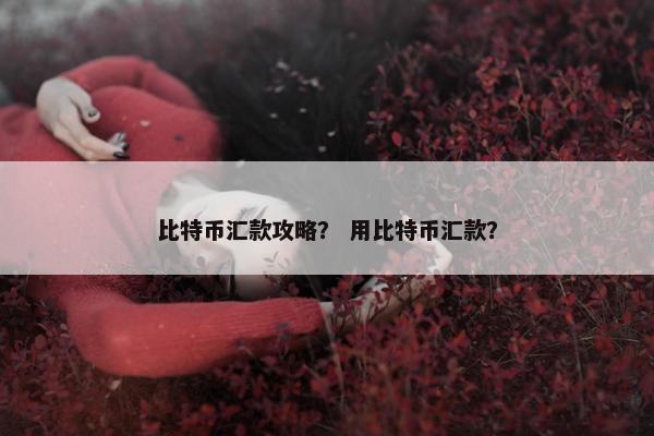 比特币汇款攻略？ 用比特币汇款？