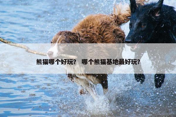 熊猫哪个好玩？ 哪个熊猫基地最好玩？