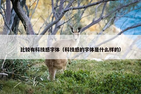 比较有科技感字体（科技感的字体是什么样的）