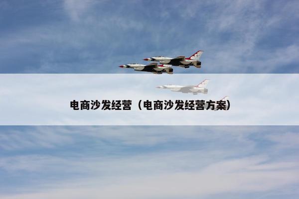 电商沙发经营（电商沙发经营方案）