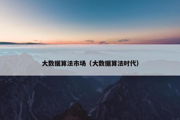 大数据算法市场（大数据算法时代）