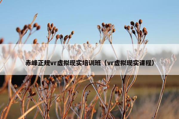 赤峰正规vr虚拟现实培训班（vr虚拟现实课程）