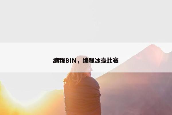 编程BIN，编程冰壶比赛