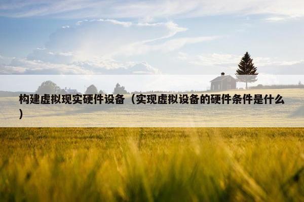 构建虚拟现实硬件设备（实现虚拟设备的硬件条件是什么）