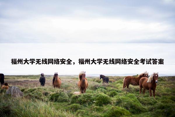 福州大学无线网络安全，福州大学无线网络安全考试答案