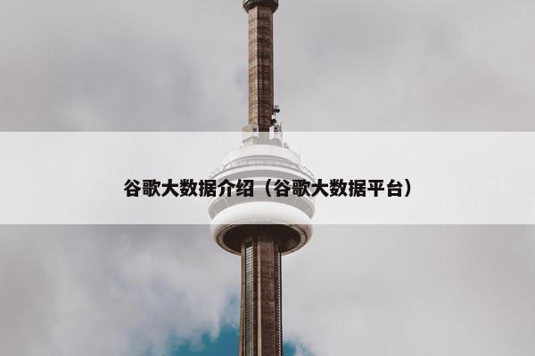 谷歌大数据介绍（谷歌大数据平台）