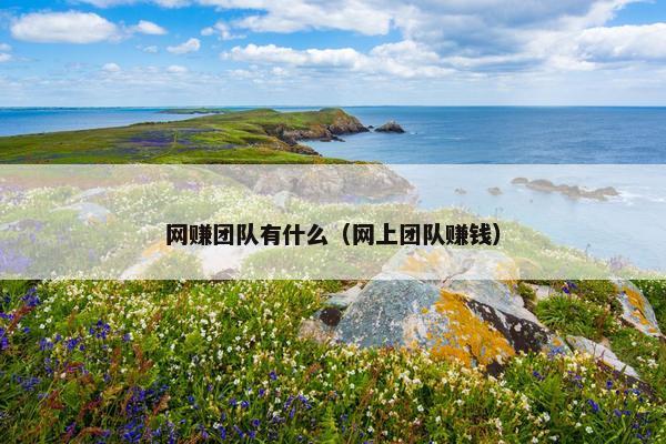 网赚团队有什么（网上团队赚钱）