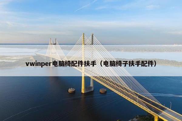 vwinper电脑椅配件扶手（电脑椅子扶手配件）