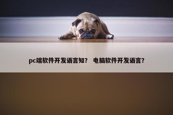 pc端软件开发语言知？ 电脑软件开发语言？
