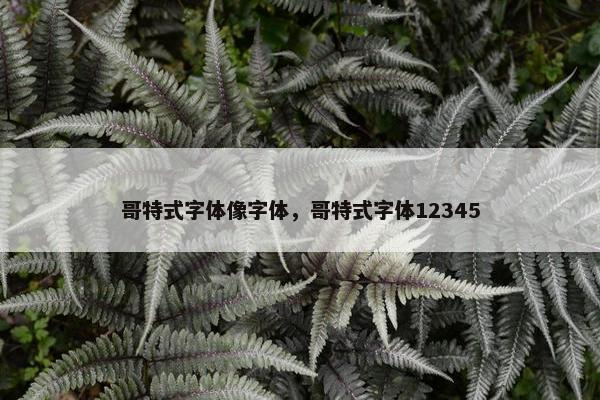 哥特式字体像字体，哥特式字体12345