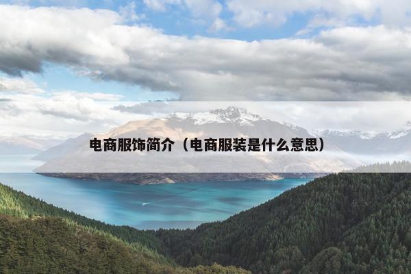 电商服饰简介（电商服装是什么意思）