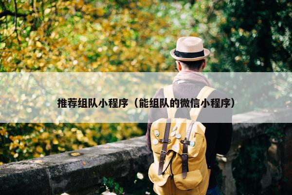 推荐组队小程序（能组队的微信小程序）