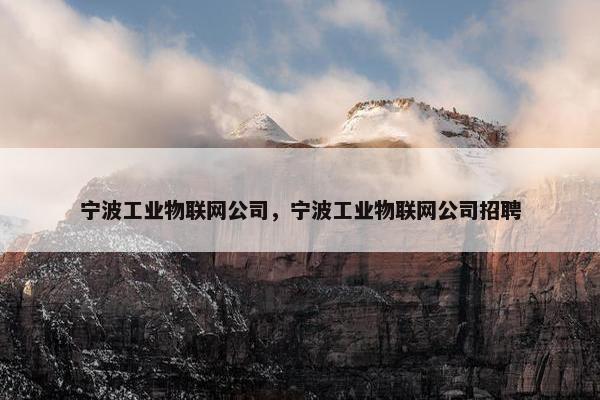 宁波工业物联网公司，宁波工业物联网公司招聘