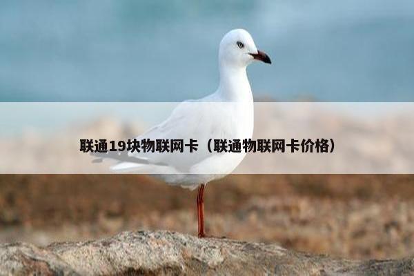 联通19块物联网卡（联通物联网卡价格）