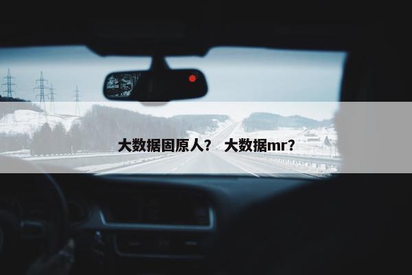 大数据固原人？ 大数据mr？