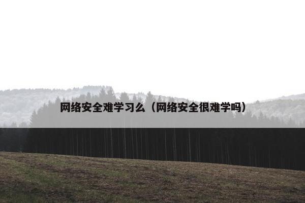 网络安全难学习么（网络安全很难学吗）