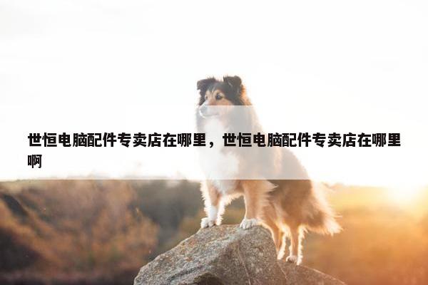 世恒电脑配件专卖店在哪里,世恒电脑配件专卖店在哪里啊 世恒电脑配件专卖店在哪里,世恒电脑配件专卖店在哪里啊