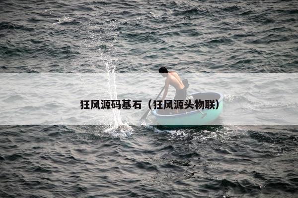 狂风源码基石（狂风源头物联）