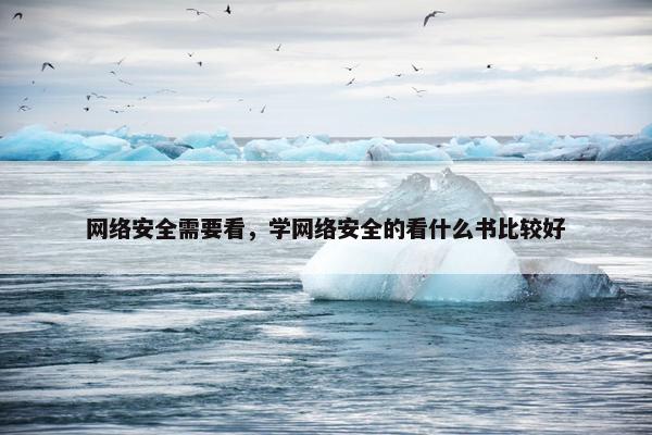 网络安全需要看，学网络安全的看什么书比较好