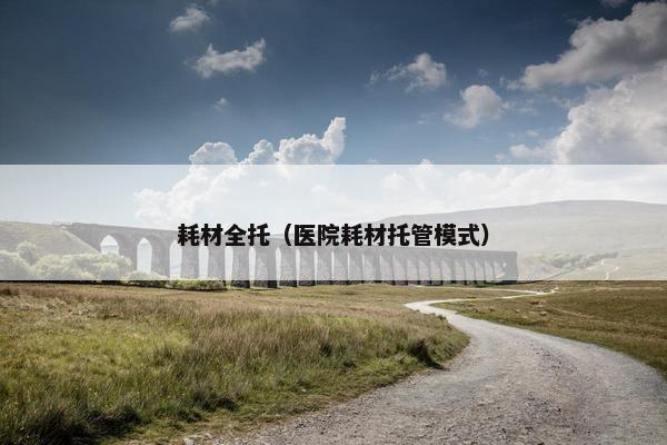 耗材全托（医院耗材托管模式）