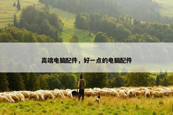 高端电脑配件，好一点的电脑配件