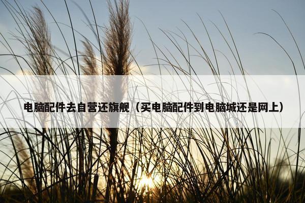 电脑配件去自营还旗舰（买电脑配件到电脑城还是网上）