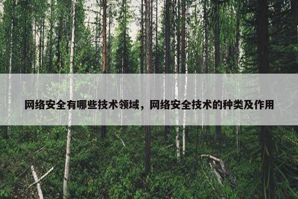 网络安全有哪些技术领域，网络安全技术的种类及作用