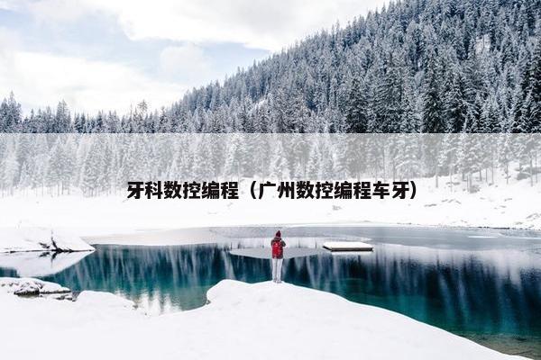 牙科数控编程（广州数控编程车牙）