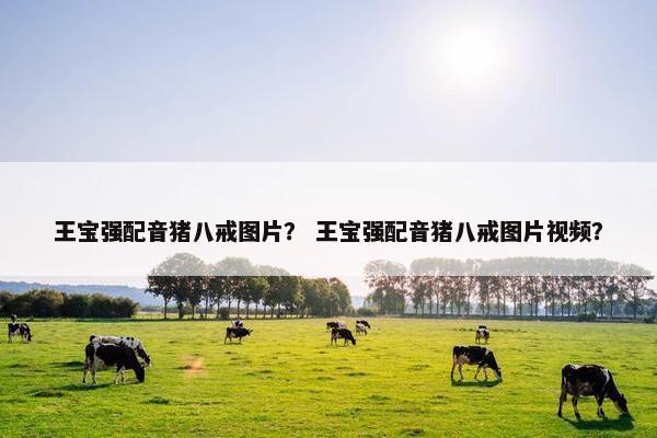 王宝强配音猪八戒图片？ 王宝强配音猪八戒图片视频？