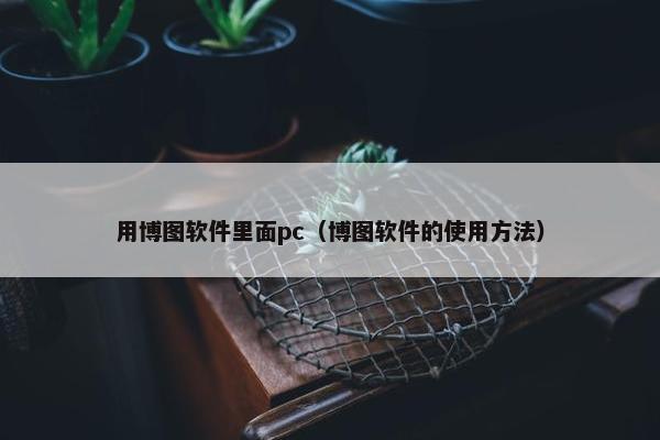 用博图软件里面pc（博图软件的使用方法）