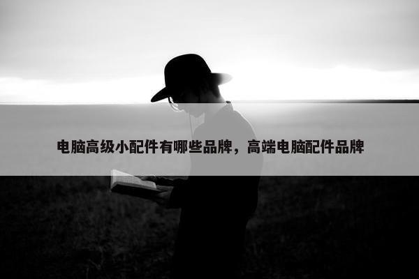 电脑高级小配件有哪些品牌，高端电脑配件品牌