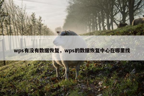 wps有没有数据恢复，wps的数据恢复中心在哪里找
